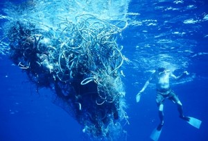 Gyre abandoned fishing nets - photo ©  SW